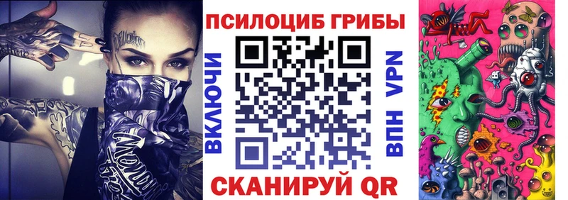 где продают наркотики  МЕГА ТОР  Галлюциногенные грибы ЛСД  Красный Холм 